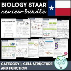 Biology review mystery picture answer key