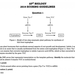 Unit 5 ap bio practice test