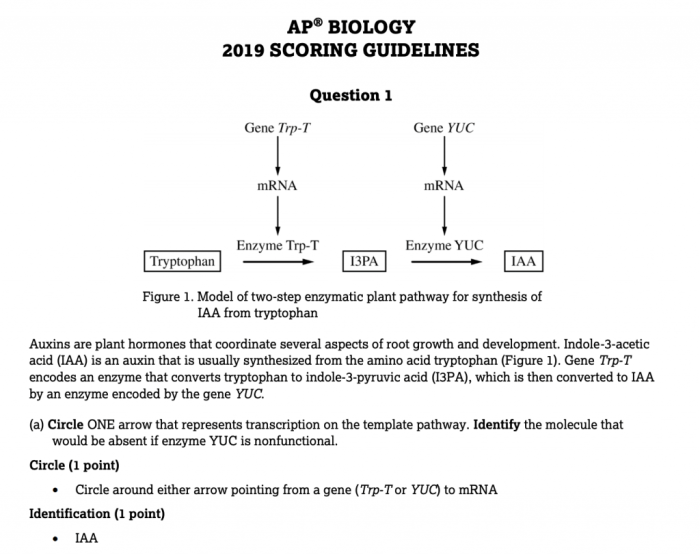 Unit 5 ap bio practice test