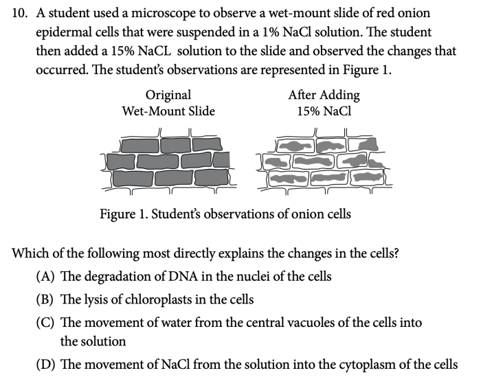 Unit 5 ap bio practice test