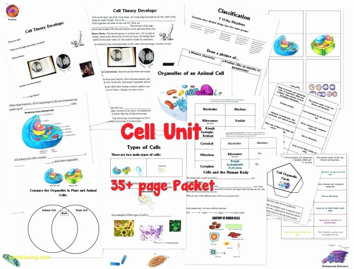 Cells and cell organelles worksheet