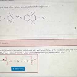 Provide a mechanism that explains formation of the following products